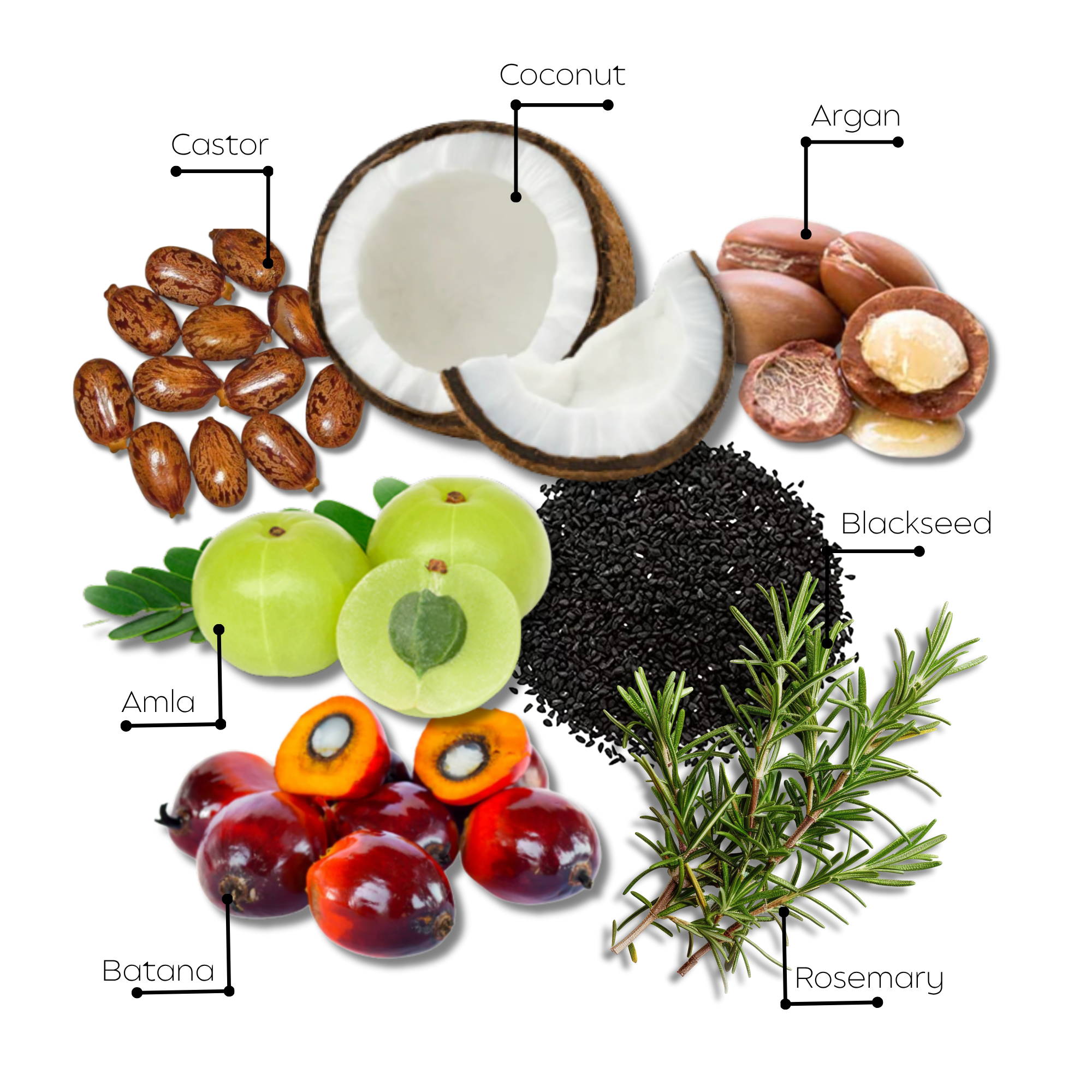 Hair growth scalp oil زيت نمو الشعر