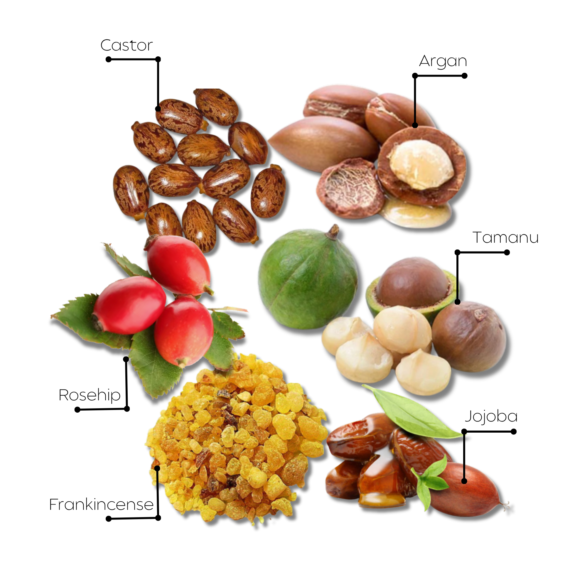 Natural Face Elixir زيت طبيعي للوجه