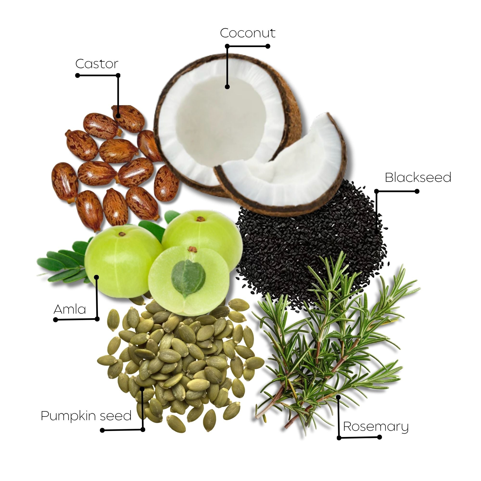 Hair growth scalp oil زيت نمو الشعر